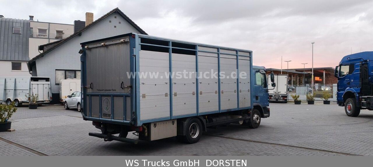 MAN TGL 10.210 1 Stock Viehtransporter - Transporte de ganado camión: foto 5 MAN TGL 10.210 1 Stock Viehtransporter - Transporte de ganado camión: foto 5