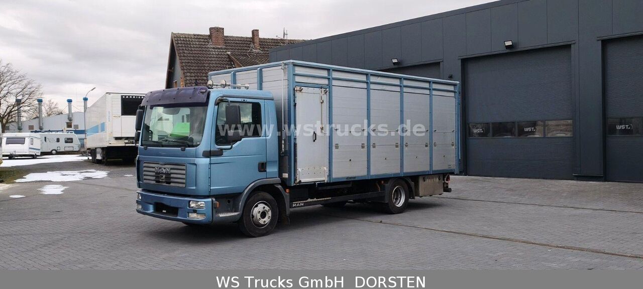 MAN TGL 10.210 1 Stock Viehtransporter - Transporte de ganado camión: foto 2 MAN TGL 10.210 1 Stock Viehtransporter - Transporte de ganado camión: foto 2