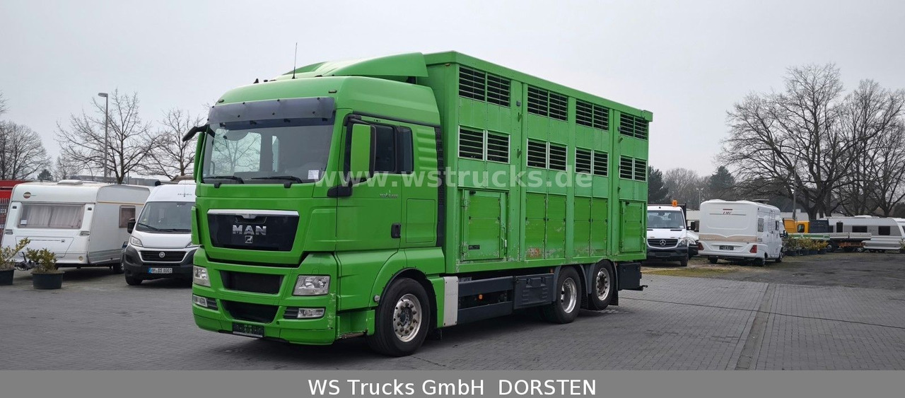 MAN TGX 26.480 XL KABA 3 Stock Viehtransporter - Camión para caballos: foto 2 MAN TGX 26.480 XL KABA 3 Stock Viehtransporter - Camión para caballos: foto 2