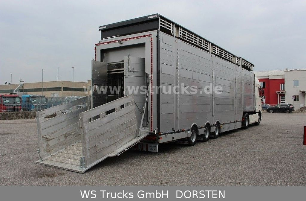 Pezzaioli SBA31-SR 3 Stock "Neu" Sofort verfügbar - Transporte de ganado semirremolque: foto 5 Pezzaioli SBA31-SR 3 Stock "Neu" Sofort verfügbar - Transporte de ganado semirremolque: foto 5