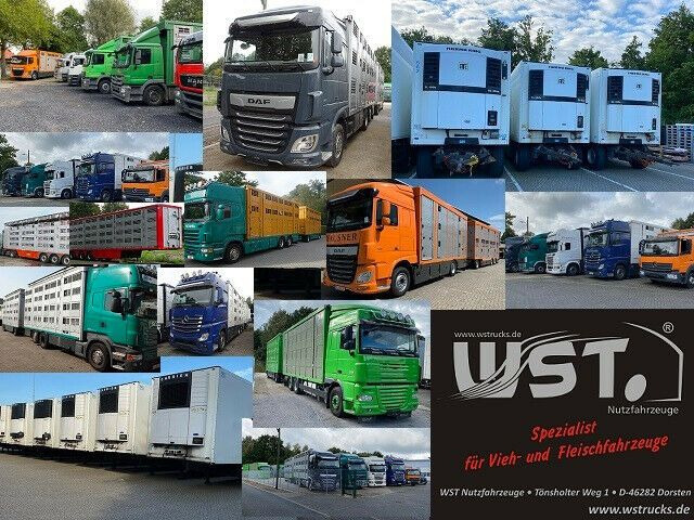 Caja cerrada semirremolque Schmitz Cargobull SKO 24 Kühlauflieger Vector 1550 Strom/Diesel: foto 20