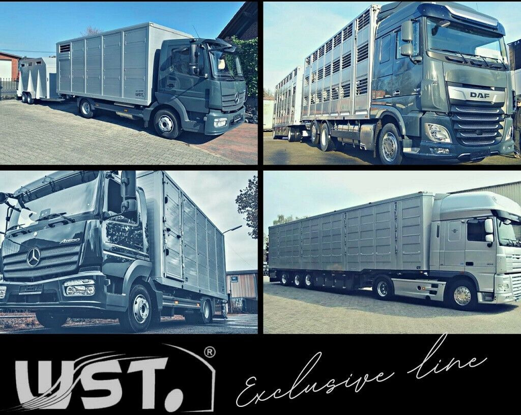 Caja cerrada semirremolque Schmitz Cargobull SKO 24 Kühlauflieger Vector 1550 Strom/Diesel: foto 21