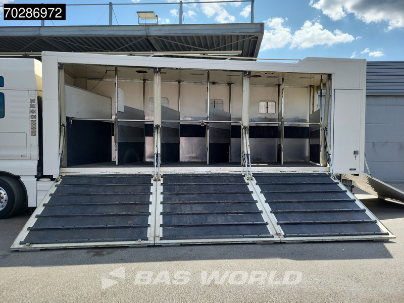 MAN TGX 26.480 TGX 6X2 NL-Truck BDF HorseTransport Lift+steering axle Standklima Automatic Xenon Alcoa´s Euro 5 - Portacontenedore/ Intercambiable camión: foto 3 MAN TGX 26.480 TGX 6X2 NL-Truck BDF HorseTransport Lift+steering axle Standklima Automatic Xenon Alcoa´s Euro 5 - Portacontenedore/ Intercambiable camión: foto 3