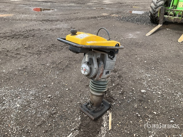 2021 Wacker Neuson BS60-2 Jumping Jack Tamper - Vibroapisonador: foto 4 2021 Wacker Neuson BS60-2 Jumping Jack Tamper - Vibroapisonador: foto 4