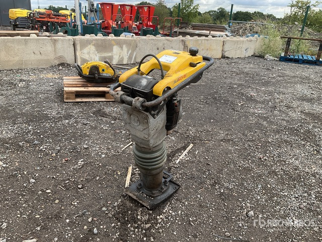 2021 Wacker Neuson BS60-2 Jumping Jack Tamper - Vibroapisonador: foto 1 2021 Wacker Neuson BS60-2 Jumping Jack Tamper - Vibroapisonador: foto 1