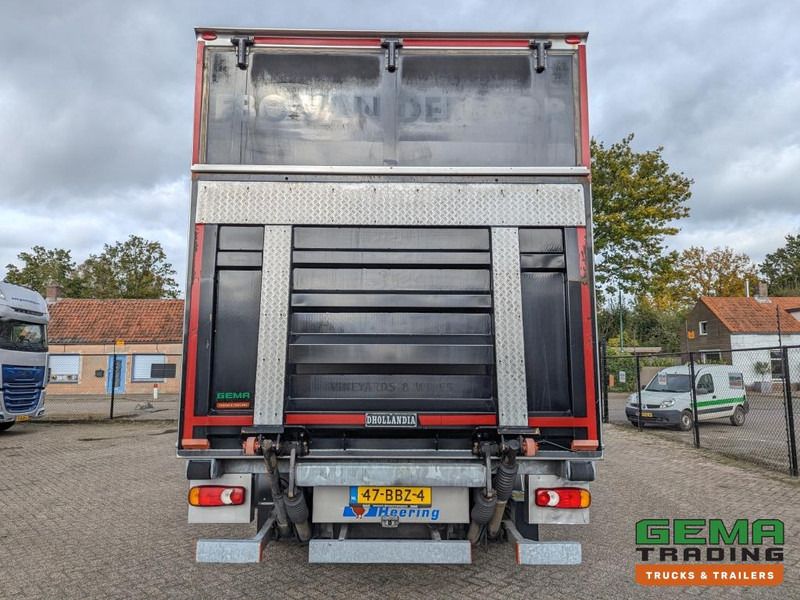 Leasing financiero de DAF FA CF65.250 4x2 Daycab Euro5 KoelVriesBak 6.7M + Carrier Supra750Mt + Laadklep2000kg leasing DAF FA CF65.250 4x2 Daycab Euro5 KoelVriesBak 6.7M + Carrier Supra750Mt + Laadklep2000kg: foto 10 Leasing financiero de DAF FA CF65.250 4x2 Daycab Euro5 KoelVriesBak 6.7M + Carrier Supra750Mt + Laadklep2000kg leasing DAF FA CF65.250 4x2 Daycab Euro5 KoelVriesBak 6.7M + Carrier Supra750Mt + Laadklep2000kg: foto 10