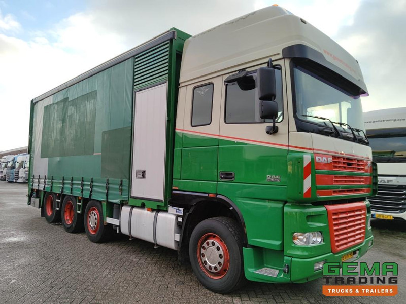 DAF FAK XF95.430 8x2 SuperSpaceCab Euro3 - CurtainSider 7.31m + Ramp 16T - MachineTransporter - 6 Persons (V558) - Portavehículos camión: foto 3 DAF FAK XF95.430 8x2 SuperSpaceCab Euro3 - CurtainSider 7.31m + Ramp 16T - MachineTransporter - 6 Persons (V558) - Portavehículos camión: foto 3