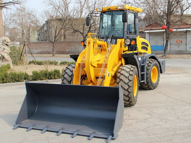 Cargadora de ruedas nuevo Qingdao Promising China 2.0T Front Wheel Loader ZL20F with CE: foto 7