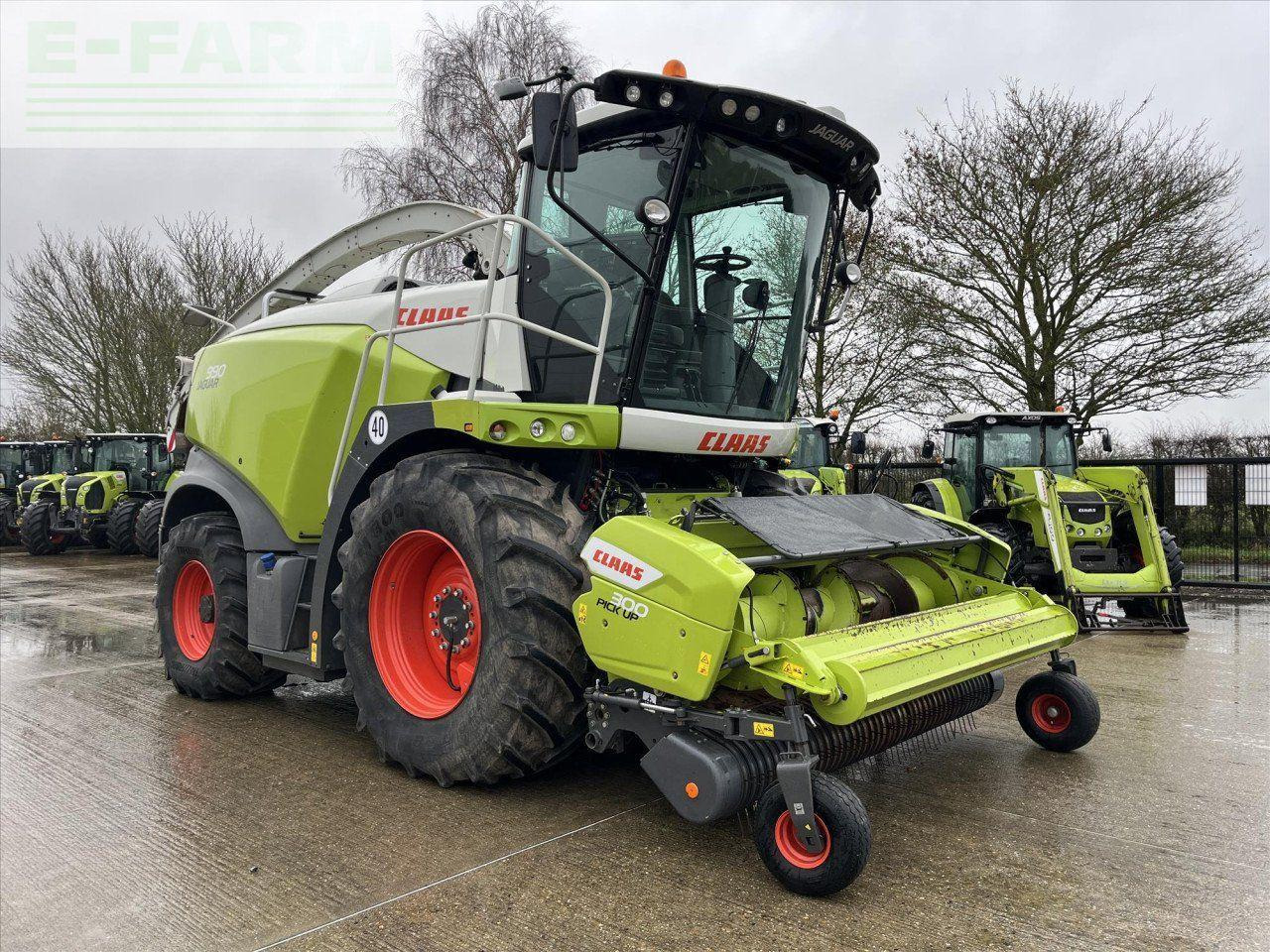 CLAAS USED 2021 JAGUAR 990 - Cosechadora de forraje: foto 3 CLAAS USED 2021 JAGUAR 990 - Cosechadora de forraje: foto 3