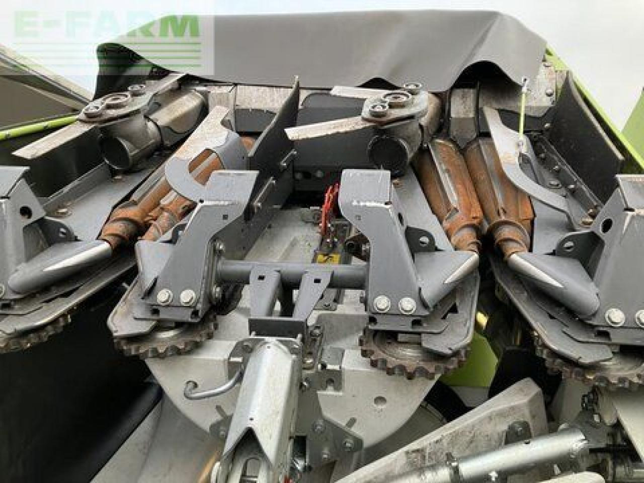 Accesorios para cosechadoras de forraje CLAAS corio 870 fc conspeed: foto 12