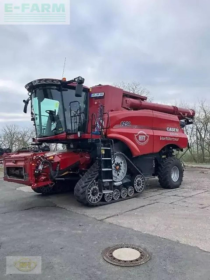 Case-IH axial-flow 8250 st5 - Cosechadora de granos: foto 1 Case-IH axial-flow 8250 st5 - Cosechadora de granos: foto 1