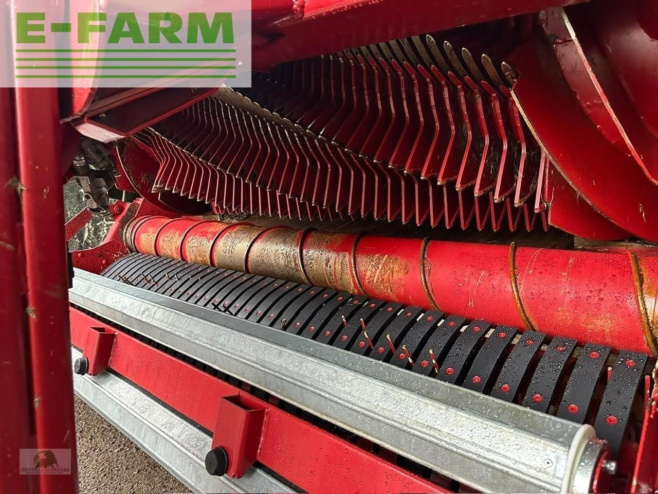 Remolque autocargador Strautmann giga-vitesse cfs 4002: foto 6