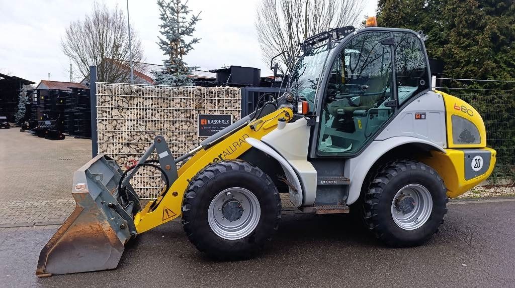 Cargadora de ruedas Kramer 680 Allrad, hydr. Schnellwechsler, Frontschaufel: foto 13