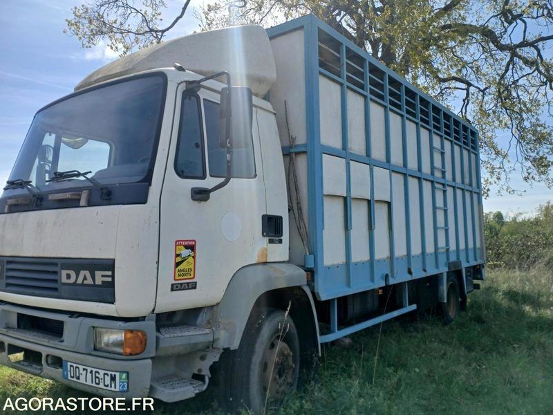 Camion_ bataillere - Cabeza tractora: foto 2 Camion_ bataillere - Cabeza tractora: foto 2