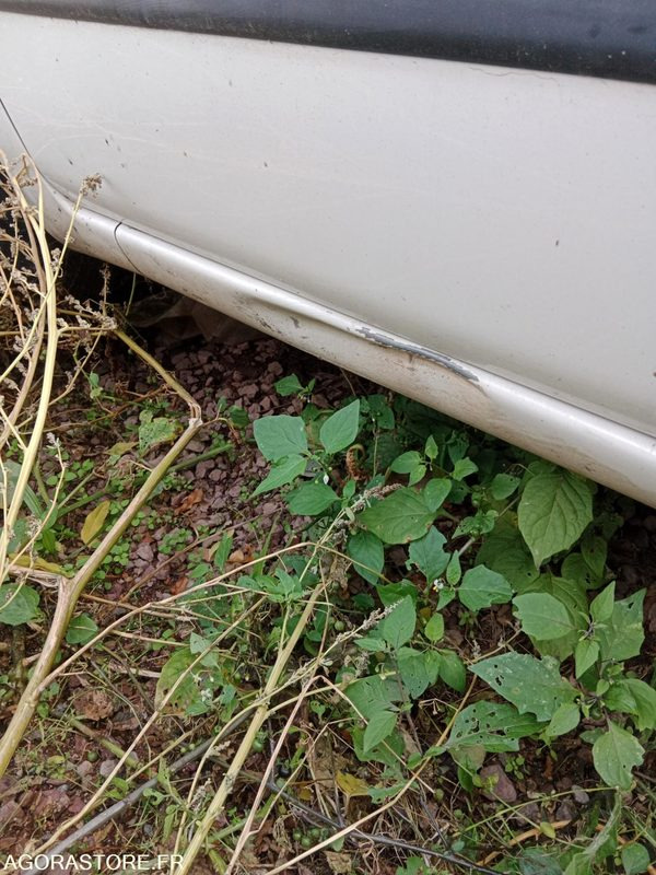 FIAT PANDA - Coche: foto 5 FIAT PANDA - Coche: foto 5