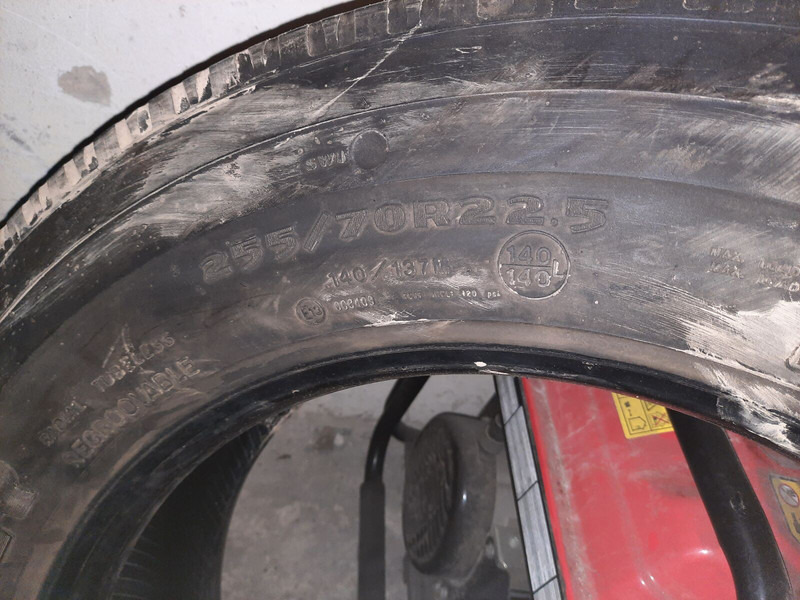 Neumático para Camión Michelin 295*80R22.5 255*70 \ 275*70* 265\70R19.5: foto 13