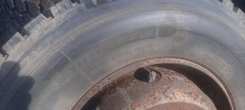 Neumático para Camión Michelin 295*80R22.5 255*70 \ 275*70* 265\70R19.5: foto 8