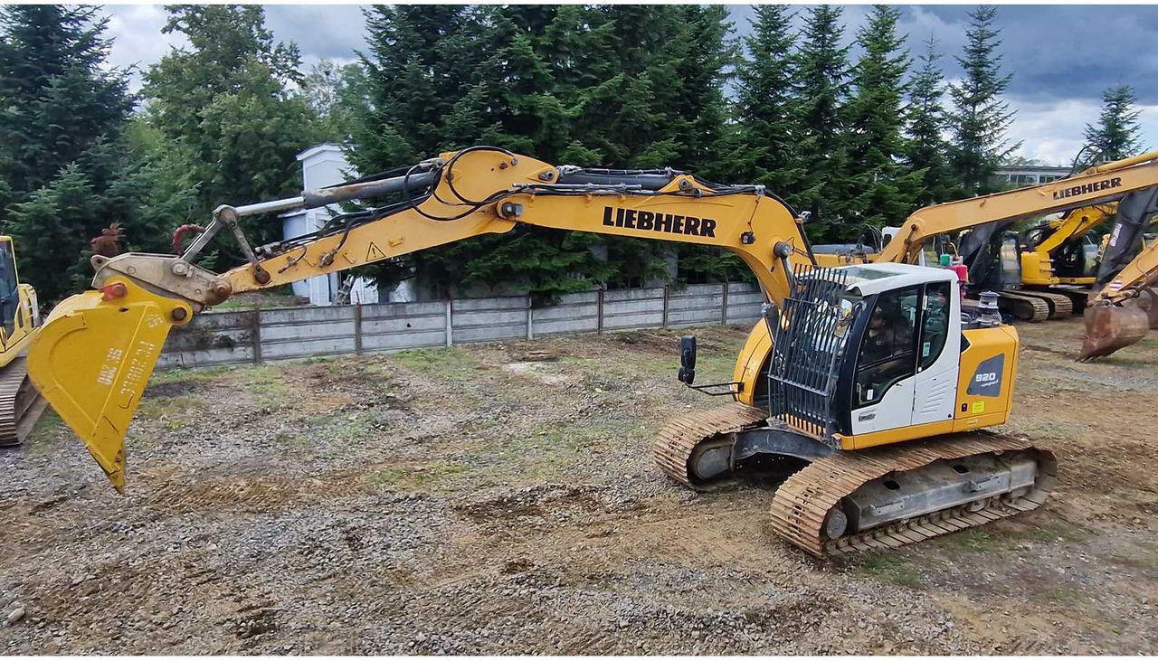 Excavadora de cadenas LIEBHERR R920: foto 6