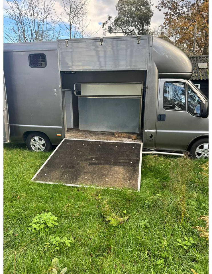 1999 FIAT DUCATO MAXI 18 2.8 ID 598-140 HORSE TRUCK - Vehículo comercial ligero: foto 2 1999 FIAT DUCATO MAXI 18 2.8 ID 598-140 HORSE TRUCK - Vehículo comercial ligero: foto 2