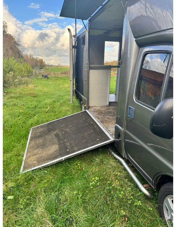 1999 FIAT DUCATO MAXI 18 2.8 ID 598-140 HORSE TRUCK - Vehículo comercial ligero: foto 5 1999 FIAT DUCATO MAXI 18 2.8 ID 598-140 HORSE TRUCK - Vehículo comercial ligero: foto 5