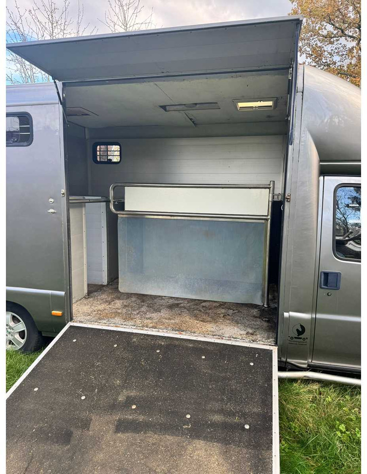 1999 FIAT DUCATO MAXI 18 2.8 ID 598-140 HORSE TRUCK - Vehículo comercial ligero: foto 3 1999 FIAT DUCATO MAXI 18 2.8 ID 598-140 HORSE TRUCK - Vehículo comercial ligero: foto 3