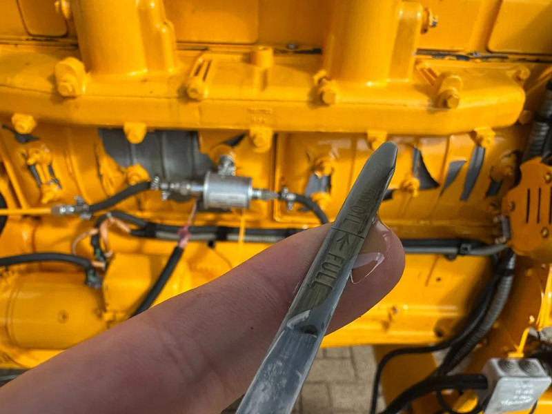 Ford Leroy Somer 80 kVA noodstroom generatorset ex Emergency 119 hours ! - Generador industriale: foto 3 Ford Leroy Somer 80 kVA noodstroom generatorset ex Emergency 119 hours ! - Generador industriale: foto 3