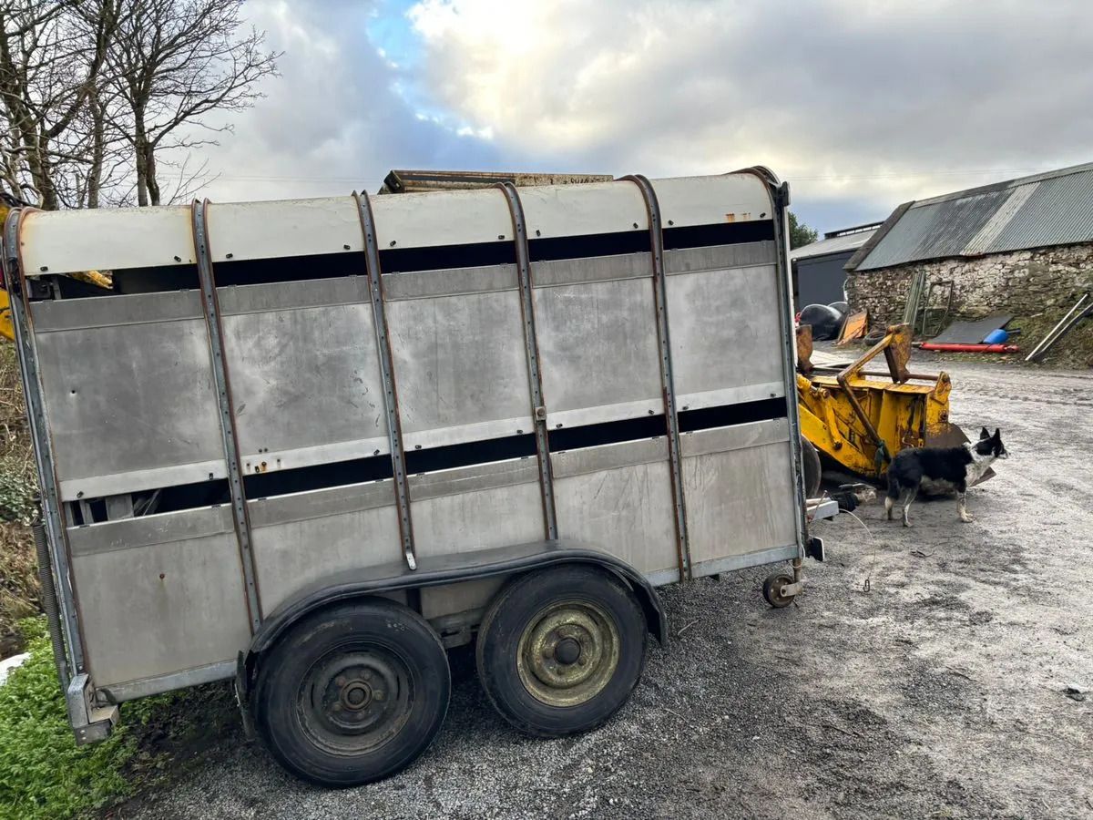 10X6 Ivor Williams - Transporte de ganado remolque: foto 4 10X6 Ivor Williams - Transporte de ganado remolque: foto 4