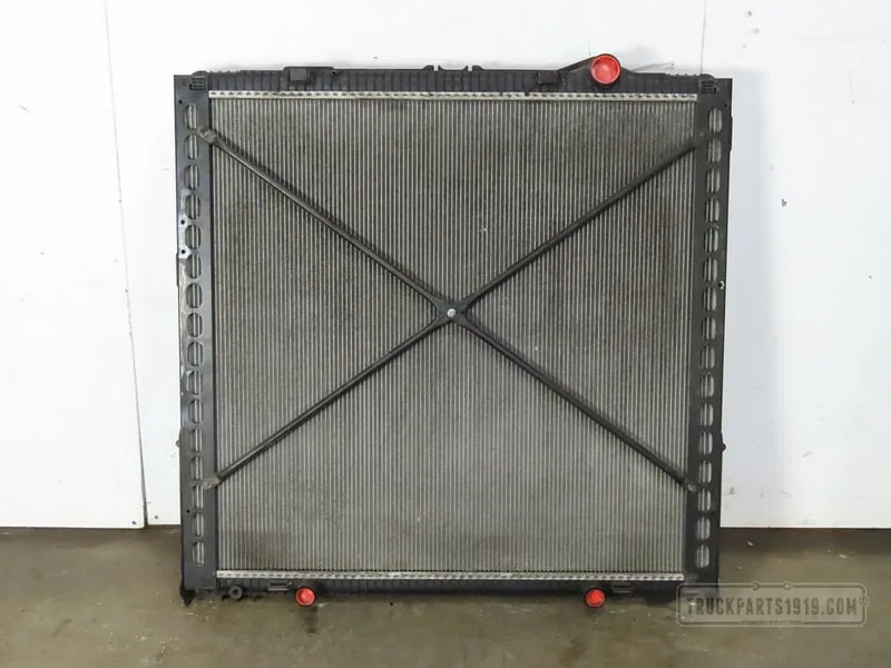 DAF 2125896 Radiateur DAF XF 106 - Radiador para Camión: foto 1 DAF 2125896 Radiateur DAF XF 106 - Radiador para Camión: foto 1