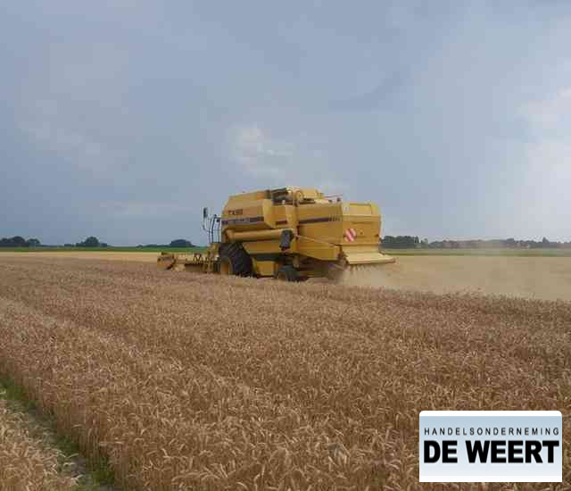 New Holland TX 68 , tx 68 - Cosechadora de granos: foto 4 New Holland TX 68 , tx 68 - Cosechadora de granos: foto 4