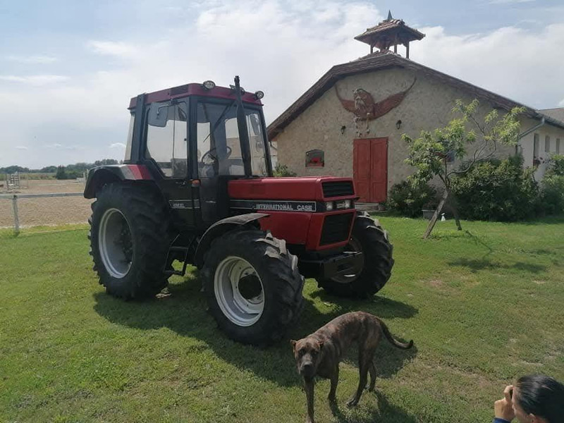 Case IH 856 XL - Tractor: foto 4 Case IH 856 XL - Tractor: foto 4