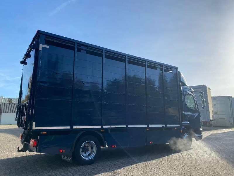 DAF LF 280 - Transporte de ganado camión: foto 3 DAF LF 280 - Transporte de ganado camión: foto 3