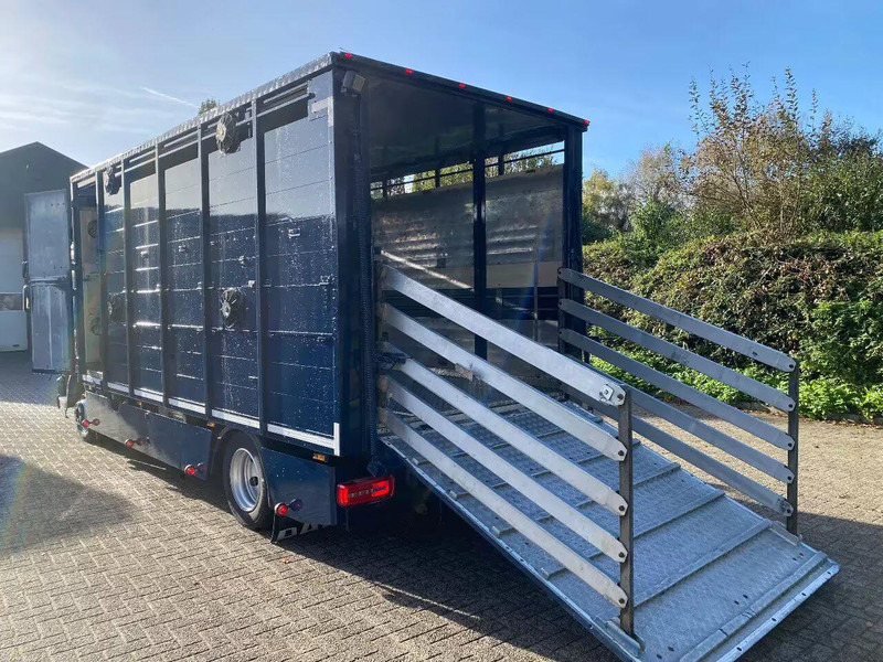 DAF LF 280 - Transporte de ganado camión: foto 5 DAF LF 280 - Transporte de ganado camión: foto 5