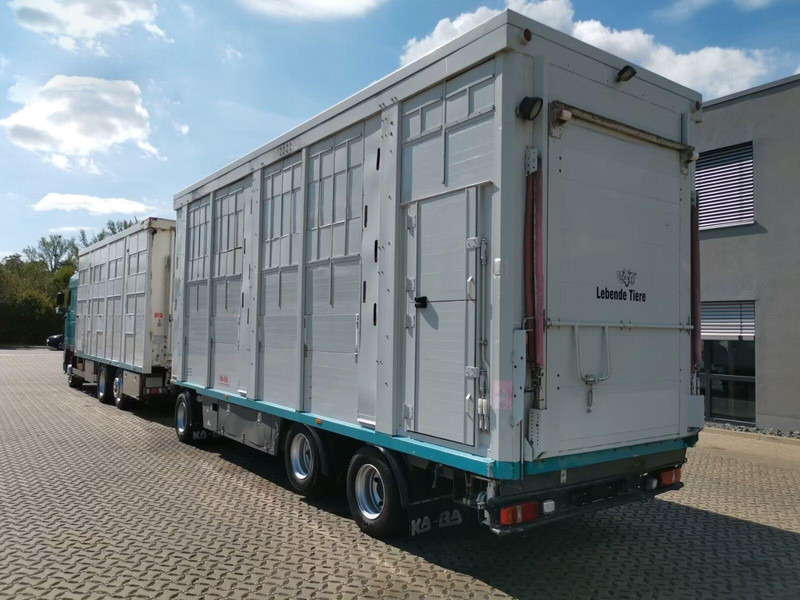 DAF XF 105.460 - Animal transporter + trailer - Transporte de ganado camión: foto 4 DAF XF 105.460 - Animal transporter + trailer - Transporte de ganado camión: foto 4