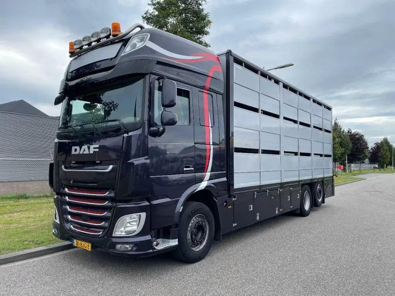 DAF XF 460 - Animal transporter - Transporte de ganado camión: foto 1 DAF XF 460 - Animal transporter - Transporte de ganado camión: foto 1