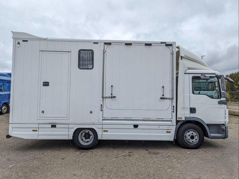 MAN TGL 12.250 - Horse transporter - Camión para caballos: foto 5 MAN TGL 12.250 - Horse transporter - Camión para caballos: foto 5