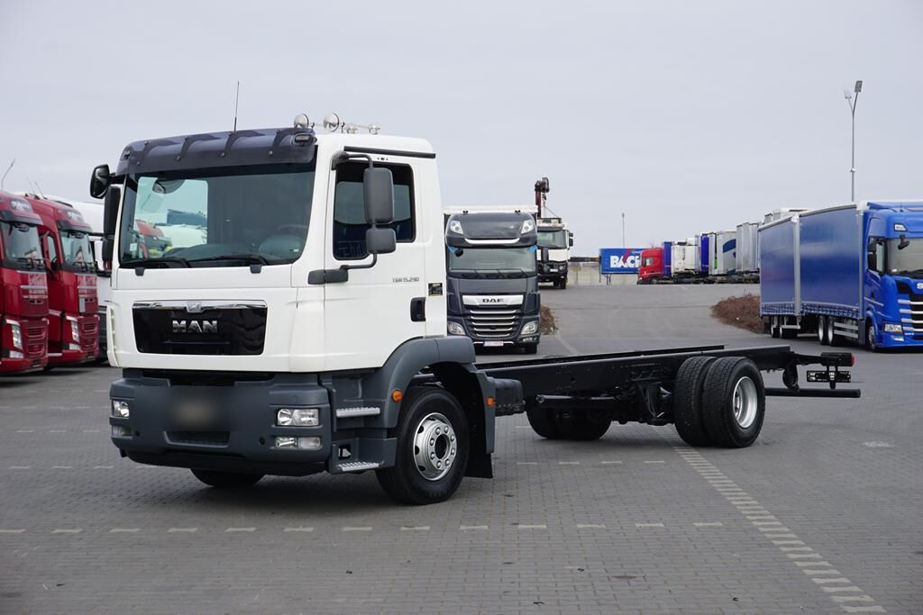 MAN TGM / 15.290 / EURO 5 / PODWOZIE DO ZABUDOWY / DŁ. 7,4 M - Chasis camión: foto 1 MAN TGM / 15.290 / EURO 5 / PODWOZIE DO ZABUDOWY / DŁ. 7,4 M - Chasis camión: foto 1