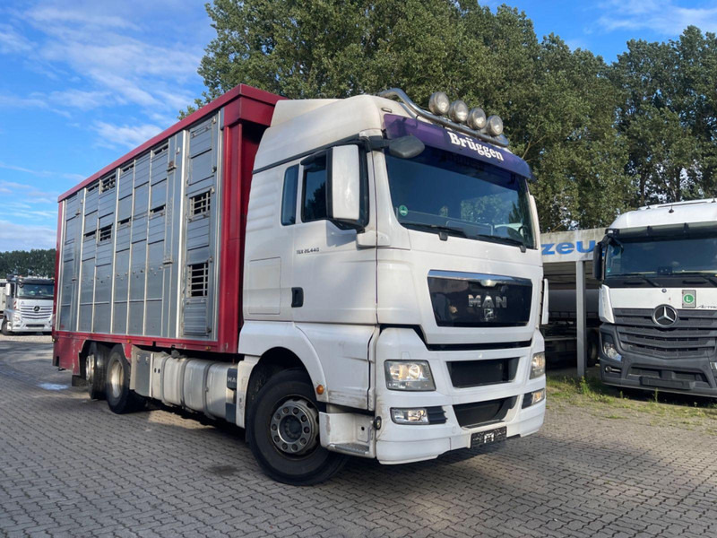 MAN TGX 26.400 6x2-2 LL 3 Stück Finkl Hubdach - Transporte de ganado camión: foto 5 MAN TGX 26.400 6x2-2 LL 3 Stück Finkl Hubdach - Transporte de ganado camión: foto 5