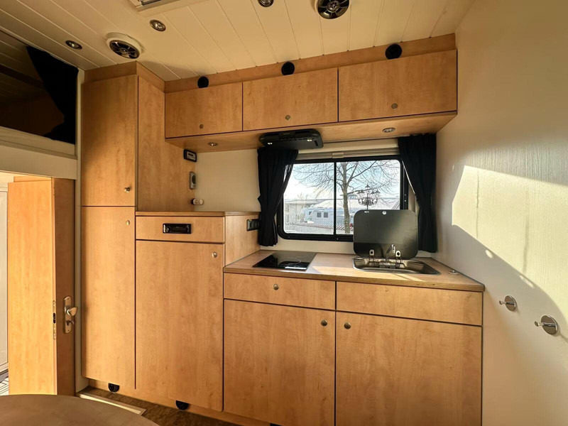 Leasing financiero de MAN TGX 26.440 - Horse transporter leasing MAN TGX 26.440 - Horse transporter: foto 13