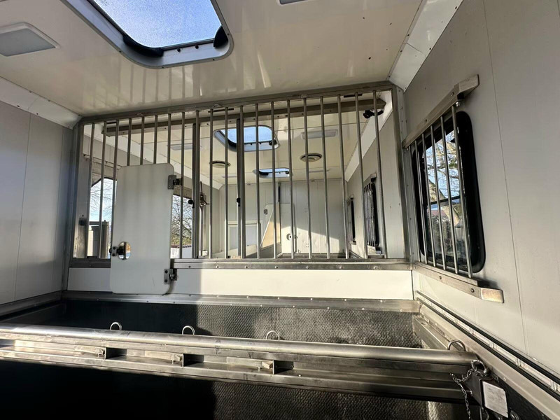 Leasing financiero de MAN TGX 26.440 - Horse transporter leasing MAN TGX 26.440 - Horse transporter: foto 6