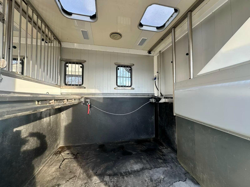 Leasing financiero de MAN TGX 26.440 - Horse transporter leasing MAN TGX 26.440 - Horse transporter: foto 7