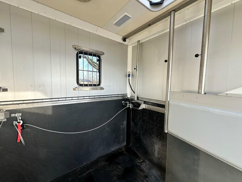 Leasing financiero de MAN TGX 26.440 - Horse transporter leasing MAN TGX 26.440 - Horse transporter: foto 8