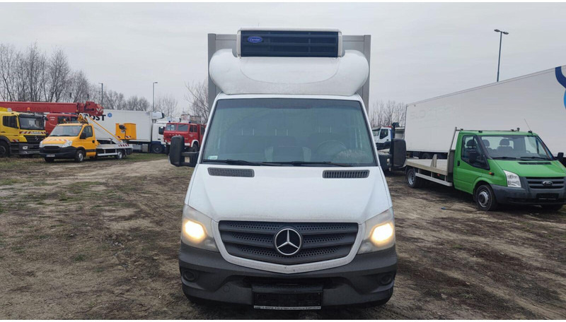 Mercedes-Benz Sprinter 316 cdi - Carrier Xarios 500 frigo - 3,5t - 220V - Frigorífico furgoneta: foto 5 Mercedes-Benz Sprinter 316 cdi - Carrier Xarios 500 frigo - 3,5t - 220V - Frigorífico furgoneta: foto 5