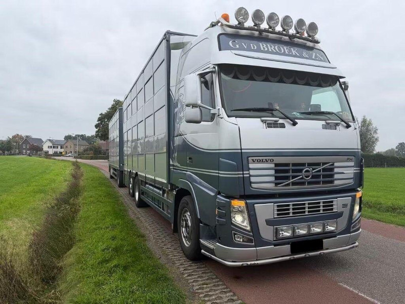 Volvo FH 480 / + trailer - Transporte de ganado camión: foto 2 Volvo FH 480 / + trailer - Transporte de ganado camión: foto 2