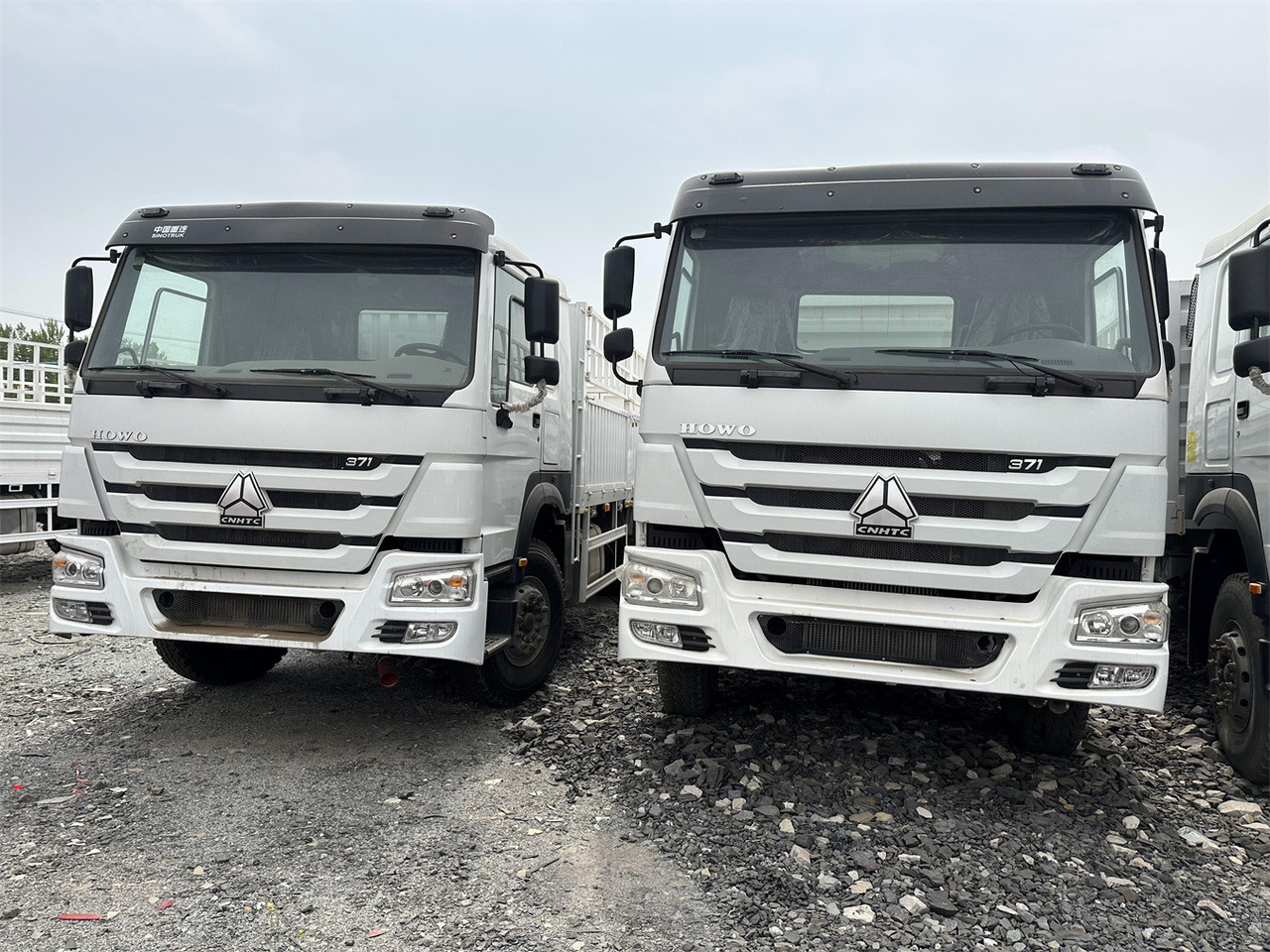 SINOTRUK HOWO 371 Cargo truck - Transporte de ganado camión: foto 2 SINOTRUK HOWO 371 Cargo truck - Transporte de ganado camión: foto 2