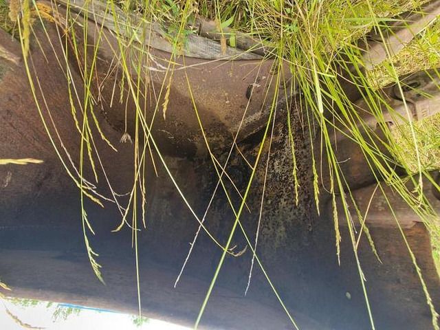 Leasing financiero de Case 988 leasing Case 988: foto 7