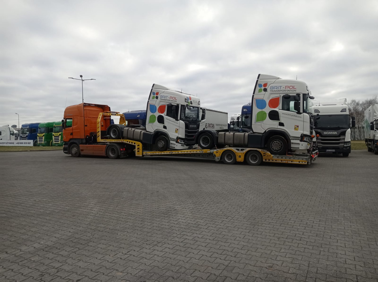 Portavehículos semirremolque para transporte de equipos pesados nuevo VEGA-S (2 AXLE TRUCK CARRIER): foto 18 Portavehículos semirremolque para transporte de equipos pesados nuevo VEGA-S (2 AXLE TRUCK CARRIER): foto 18
