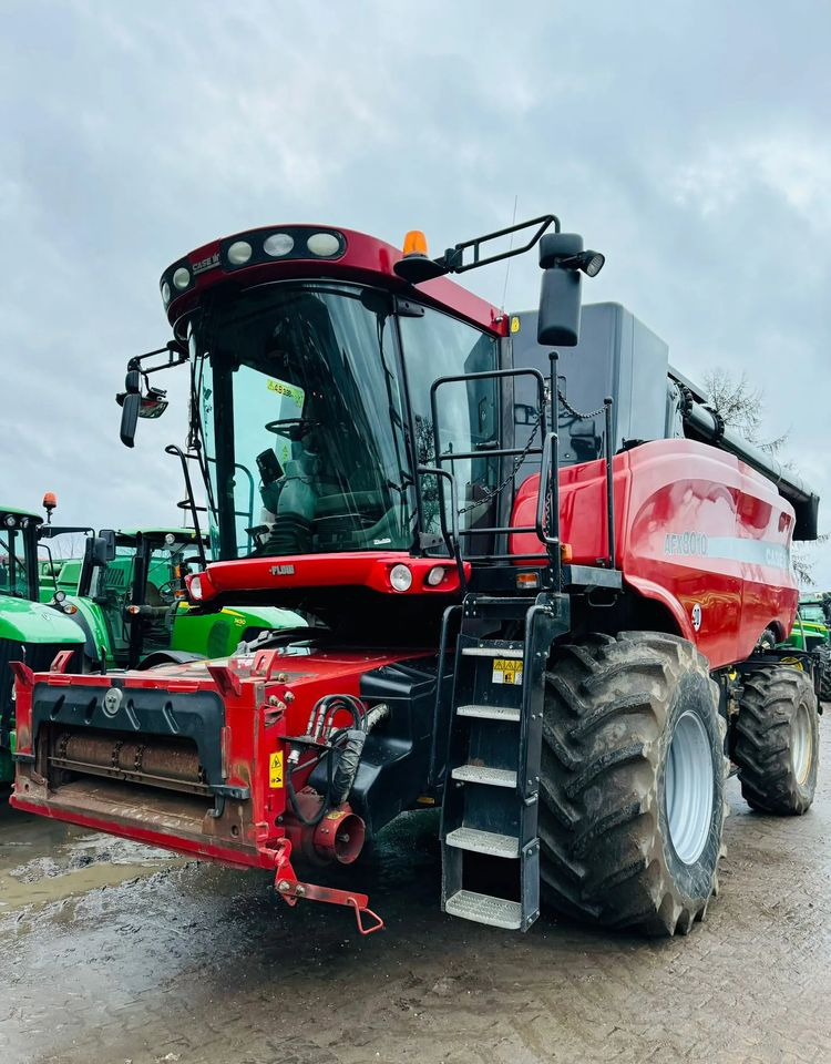 Case IH AFH 8010 - Cosechadora de granos: foto 4 Case IH AFH 8010 - Cosechadora de granos: foto 4