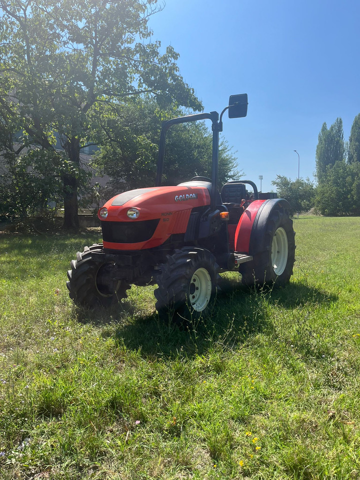Trattore usato Goldoni Ronin 50 - Tractor viñedo/ Frutero: foto 1 Trattore usato Goldoni Ronin 50 - Tractor viñedo/ Frutero: foto 1