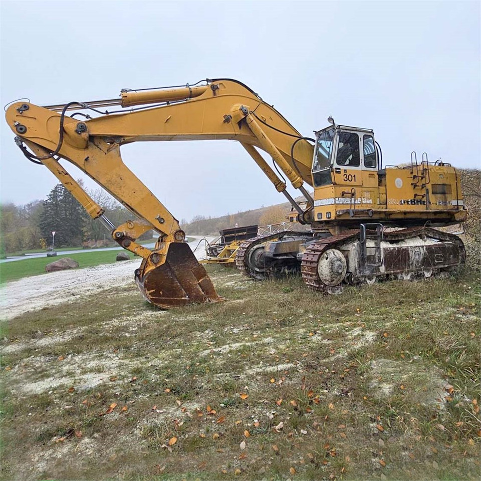 Liebherr R984 - Excavadora de cadenas: foto 4 Liebherr R984 - Excavadora de cadenas: foto 4