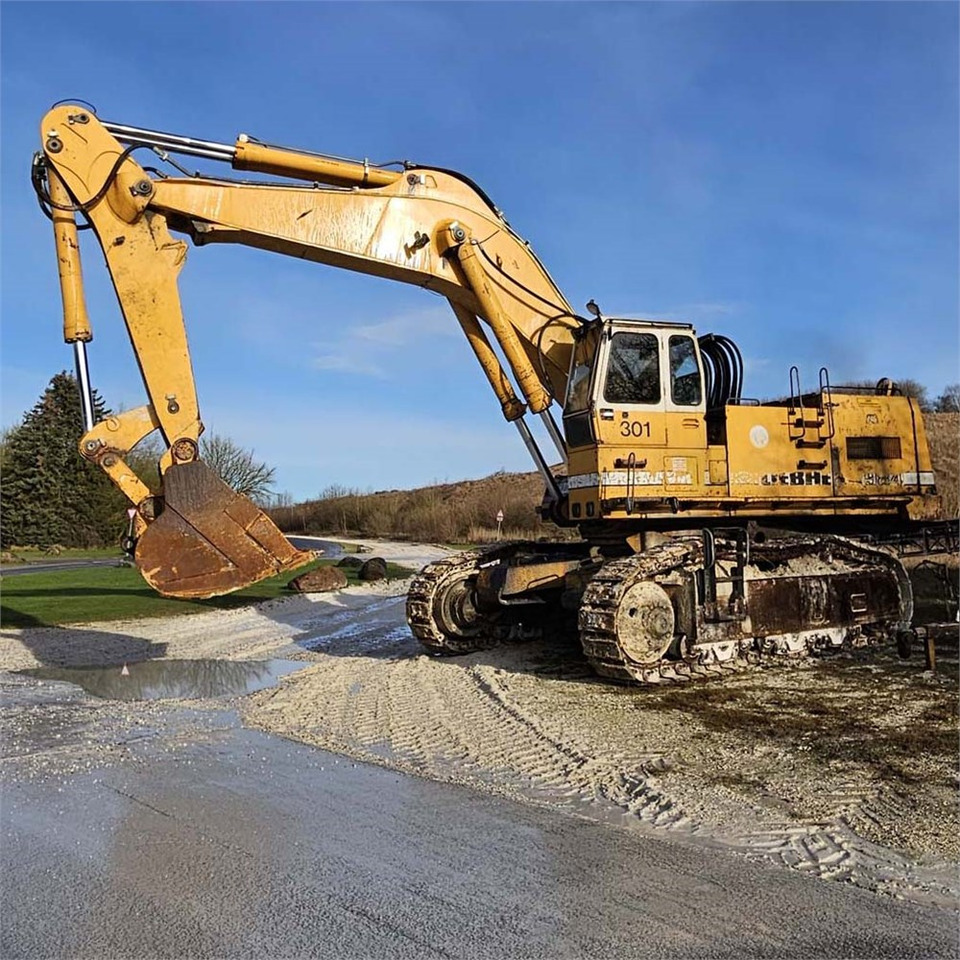 Liebherr R984 - Excavadora de cadenas: foto 1 Liebherr R984 - Excavadora de cadenas: foto 1